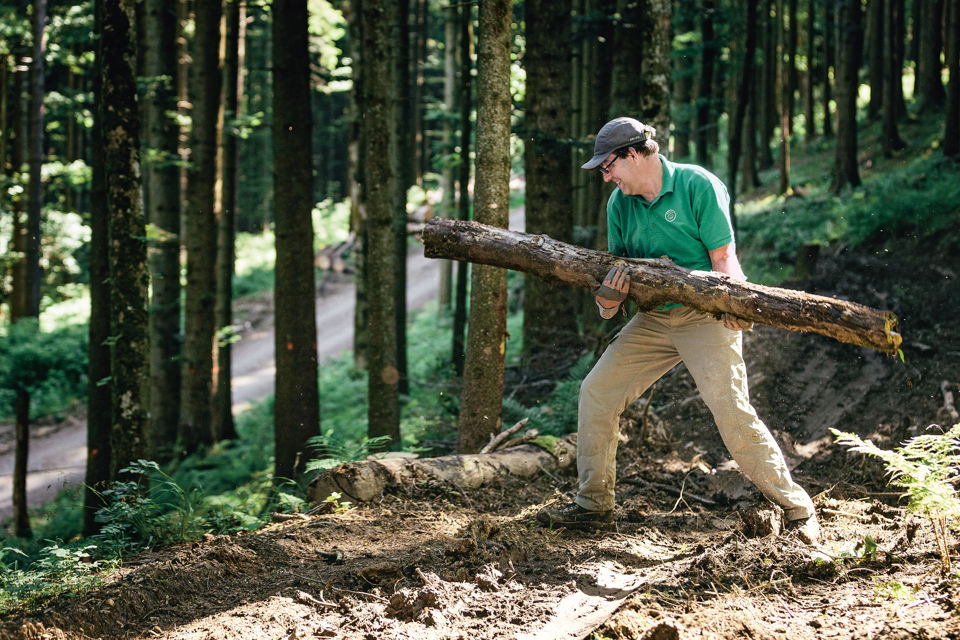 Ein Mitarbeiter der St.Galler Kantonalbank an einem Freiwilligentag bei Aufräumarbeiten im Wald