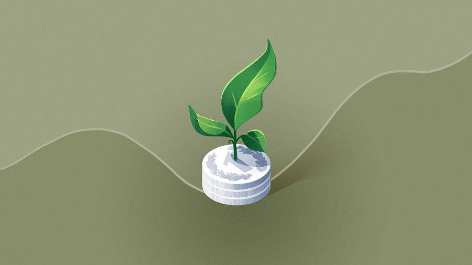 Illustration für die Anlagestrategie Wachstum - Eine Pflanze wächst aus einem Münzstapel