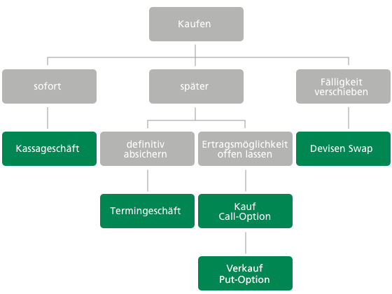 Entscheidungsorganigramm zu den Möglichkeiten für den Kauf von Devisen