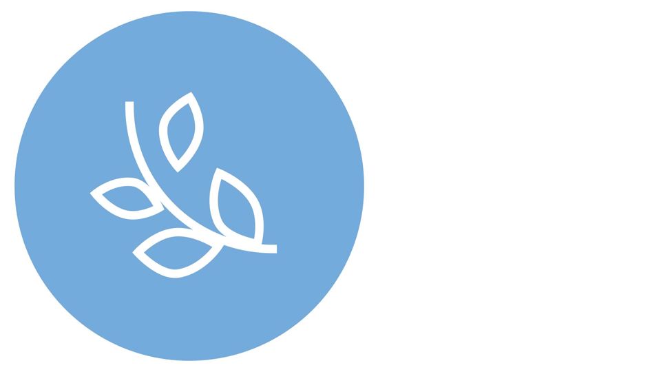 Blaues Icon eines Zweigs mit Blättern - Umweltmanagement