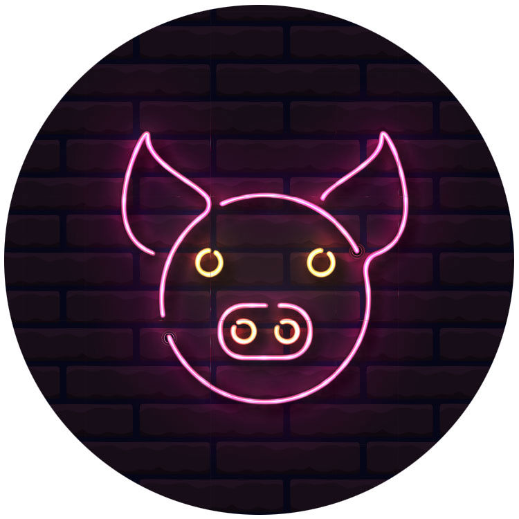 Neonschild eines Schweins - Sparmethode Schweinerennen in der Spar-App HäschCash