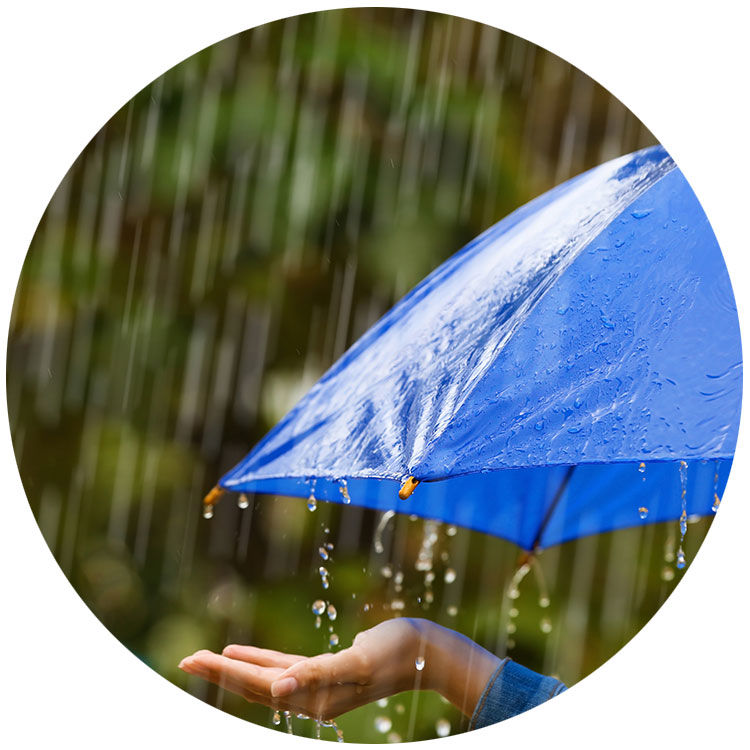 Ein Regenschirm im Regen - Sparmethode Schmuddelwetter in der Spar-App HäschCash