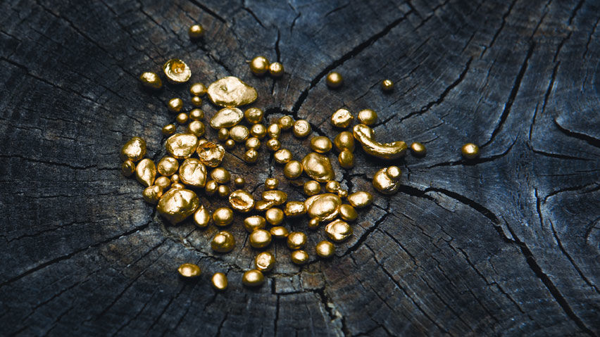 Mehrere Goldnuggets auf einem Holzstrunk
