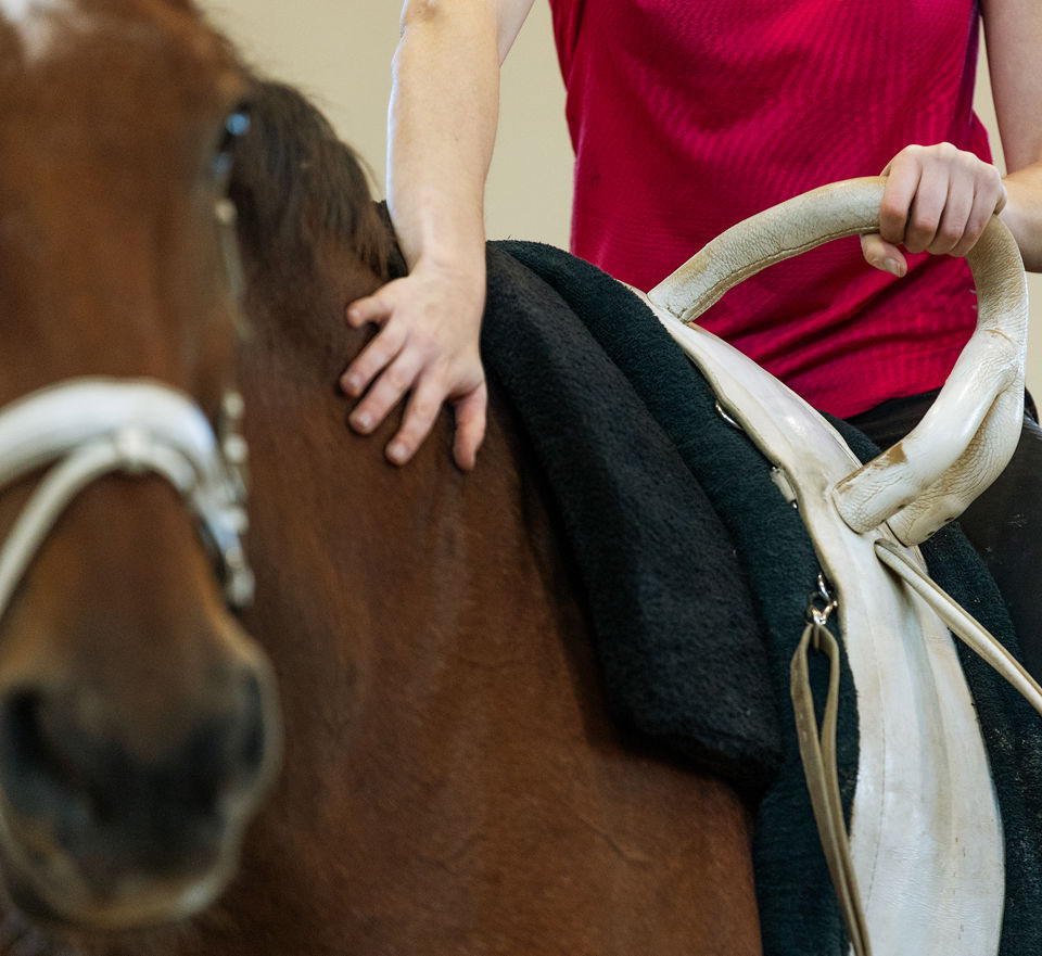 Foto vom Hobby von Angelika Ruckstuhl, Senior Beraterin Privatkunden bei der St.Galler Kantonalbank