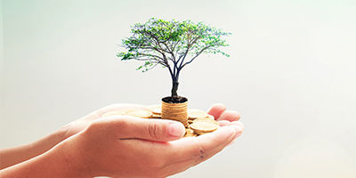 Promobild für Spendenguthaben - Eine Hand hält einen Münzstapel aus dem ein Bäumchen wächst